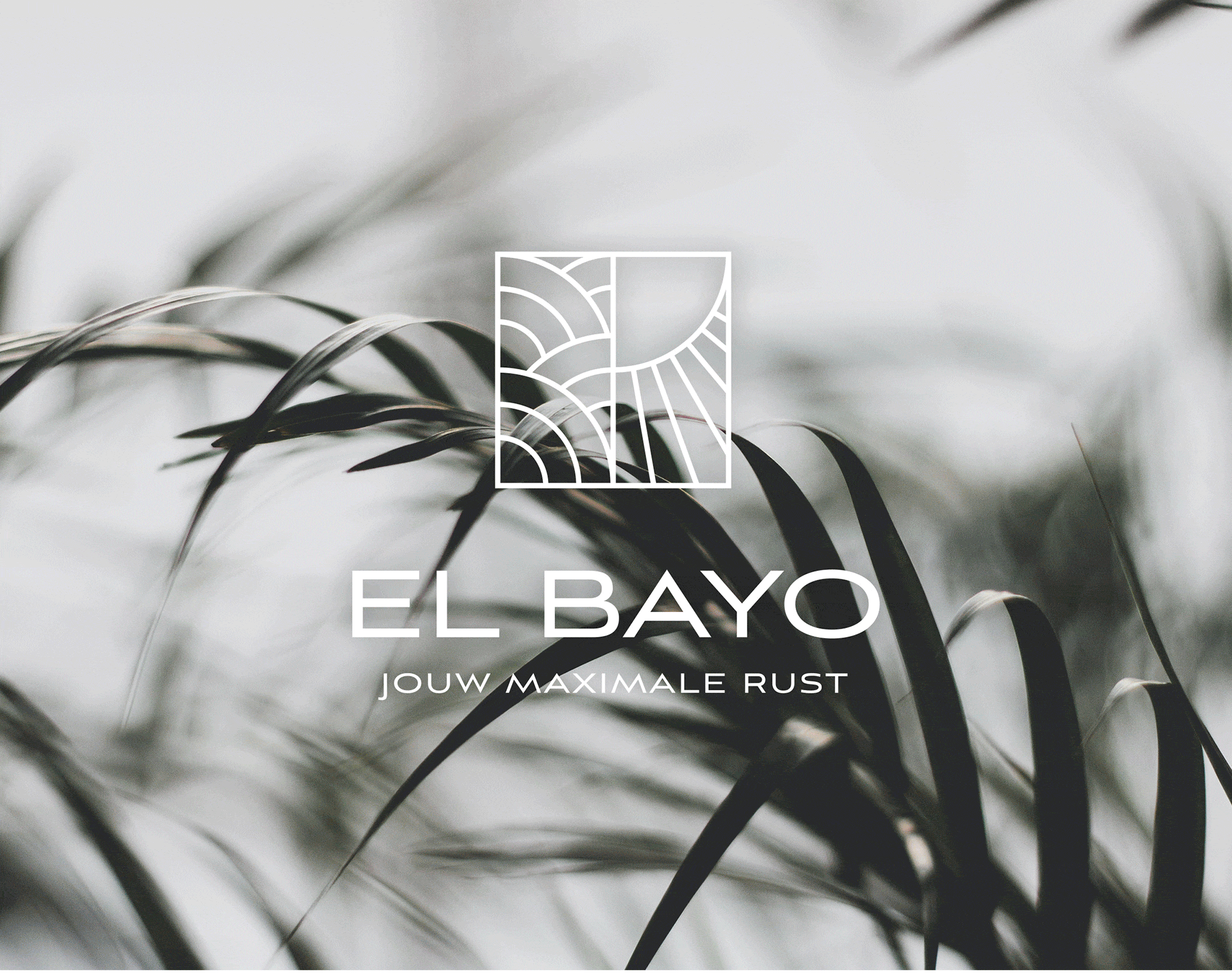 El Bayo thumbnail